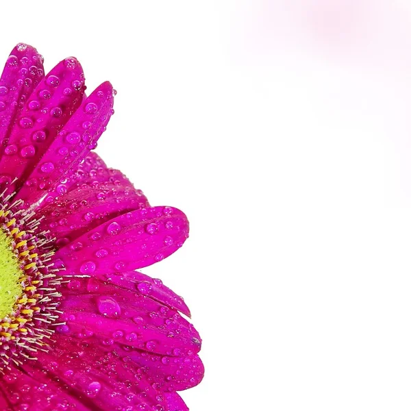 网赌网站棋牌游戏